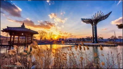 Lequel de ces pays a une ville du nom de Daegu ?