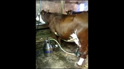 Comment appelle-t-on ce mode de traite ?