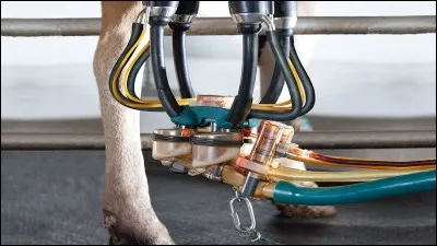 Comment s'appelle l'appareil qui sert à la traite ?