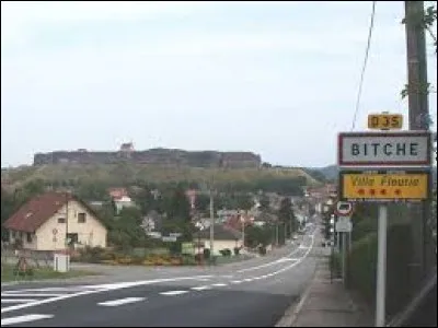 Pouvez-vous me donner le nom des habitants de Bitche (Moselle) ?