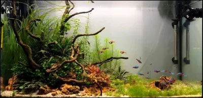 Mon aquarium fait 200 litres ; comment le chauffer ?