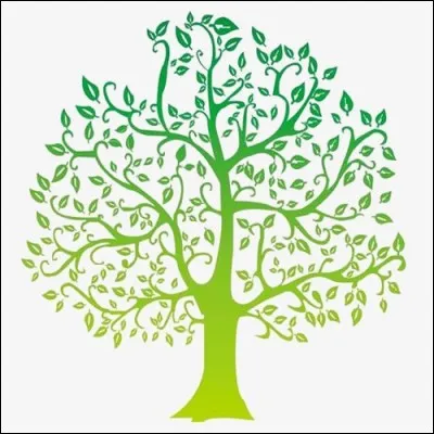 Quel est l'arbre préféré des intellos ?