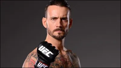 Laquelle de ces catcheuses est mariée à CM Punk ?
