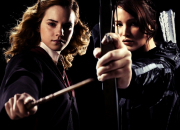 Test Es-tu Hermione ou Katniss ?
