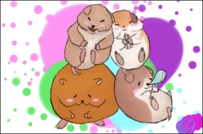 Comment nomme-t-il ses hamsters ?