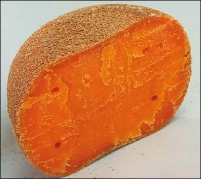 Mais c'est un nouveau refus !
« J'fais plus qu'des chansons pour moi
J'm'en suis écrit une aussi sec
Qui raconte l'histoire d'un mec
Amoureux d'sa mobylette
Mais leur amour est impossible... » Pourquoi ?