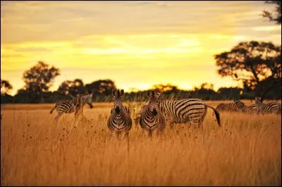 Cochez le pays ayant une ville du nom de Hwange.