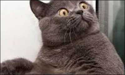 En quoi es-tu surprenant/e ?