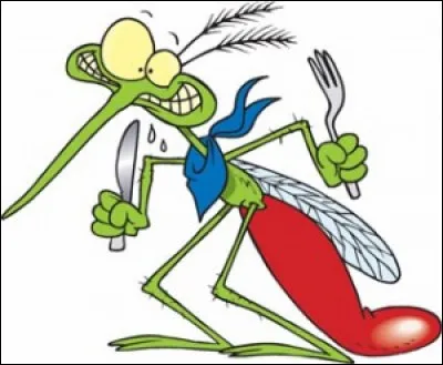 Bzzz ! Qui n'a jamais été réveillé par le bruit aigu caractéristique des moustiques ? Mais savez-vous exactement quel type de moustique vient vous piquer ?