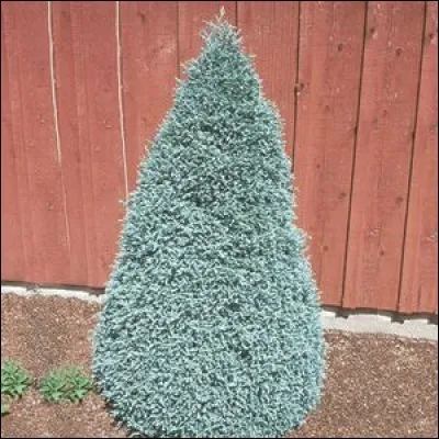 On peut l'utiliser en :