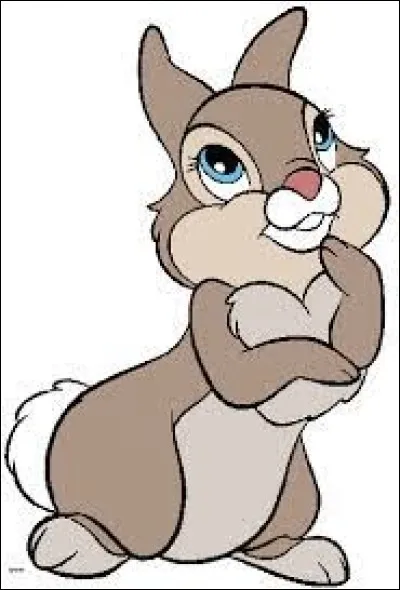 Ta couleur préférée est...