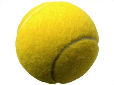 À Dallas, un golden retriever prénommé Auguie, détient le record du plus grand nombre de balles de tennis tenues en même temps dans sa gueule, avec...