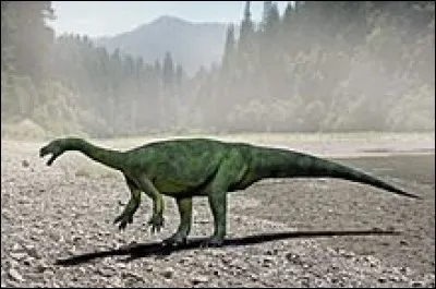 Sur l'image, vous pouvez voir un Brachiosaurus.