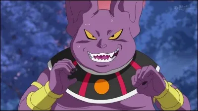 Comment se nomme le frère jumeau de Beerus ?