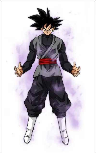 Quelle est la transformation ultime de "Black" Goku ?