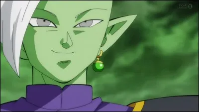 Quel personnage détruit Zamasu ?