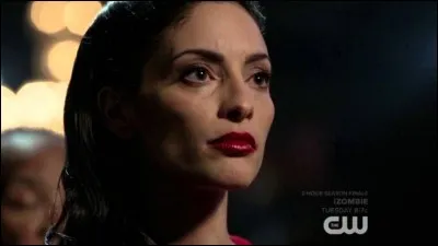 Qu'y a-t-il marqué sur la page de couverture du journal d'A.L.I.E. ?