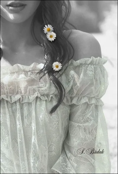 Quelle ville n'est pas réputée pour sa dentelle ?