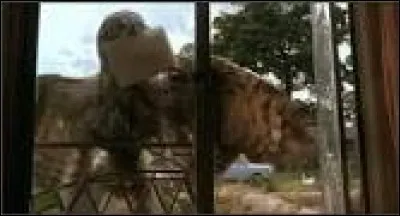 Comment s'appelle le hibou de Percy ?