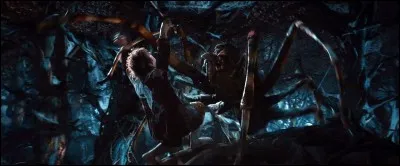 Dans quel film de J.R.R. Tolkien peut-on voir cette araignée ?