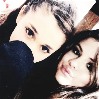 Quel chanteur préfères-tu ?