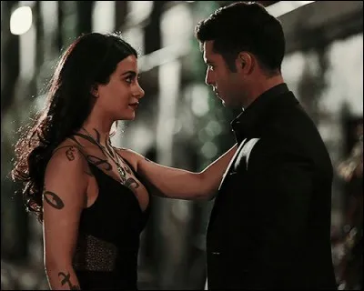 Dans quelle série peut-on voir ce couple ?