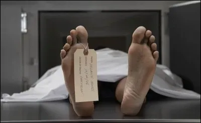 Retrouvez le titre exact !