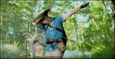 Quel jeu est présenté dans cette chanson de Norman ?