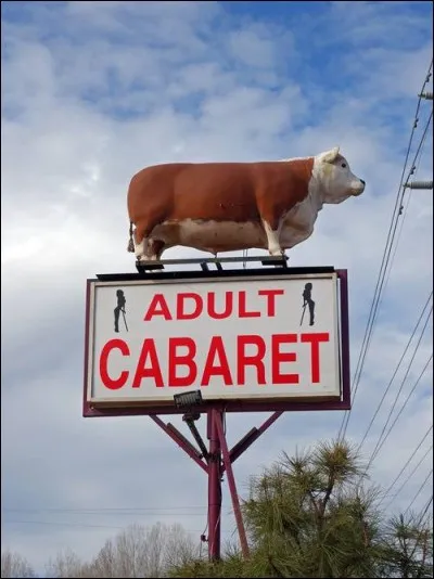 Si vous stoppez à ce panneau, vous arriverez à un cabaret pour adultes. Le plus étonnant est... ?