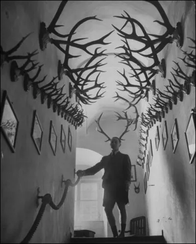 Voici une impressionnante photo d'après-chasse peut-on dire ! Le plus drôle, parmi tous ces trophées, c'est... ?