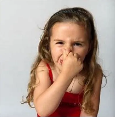 Sens-tu les odeurs ?