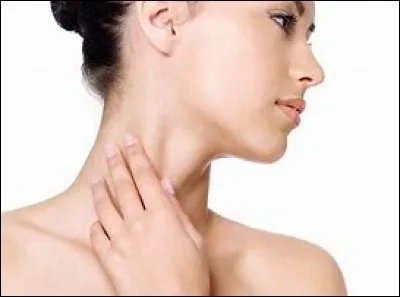 Tu vois l'artère du cou, est-ce que ça te donne envie de croquer dedans ?