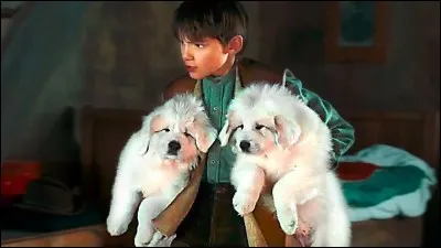 Comment Sébastien appelle-t-il les trois chiots de Belle ?