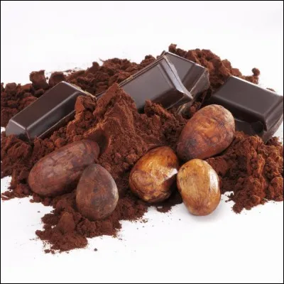 Quel pays est le plus gros producteur de cacao ?