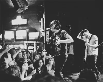 Quelle est la chanson de SWS qu'ils ont reprise ?