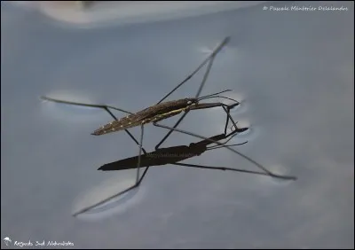 Même question que la Q11...