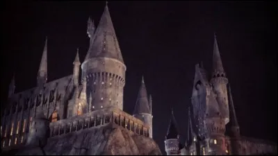 Quelle matière Rogue rêvait-il d'enseigner ?