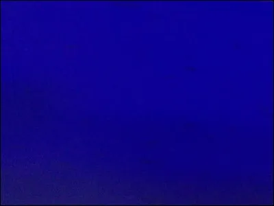 Pourquoi Oli n'a-t-il pas gardé ses cheveux bleus longtemps ?