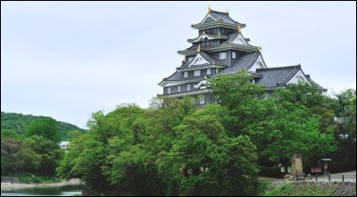 Construit en 1573, le château de la ville-préfecture d'Okoyama fut rebâti en 1966. Comme souvent au Japon, sa couleur (sombre) lui a donné un nom poétique. Lequel ?
