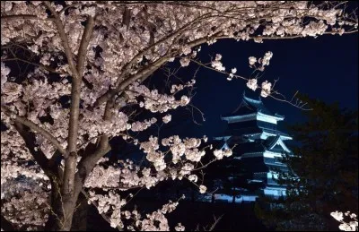 Finissons par quelque chose d'un peu plus bucolique, tout de même ! Quels sont ces arbres devant ce même château ?