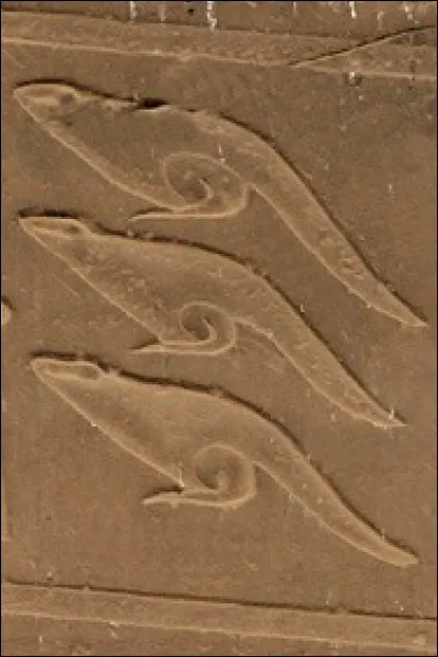 Qu'est-ce que c'est ?