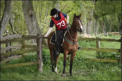 Quelle est cette discipline ?