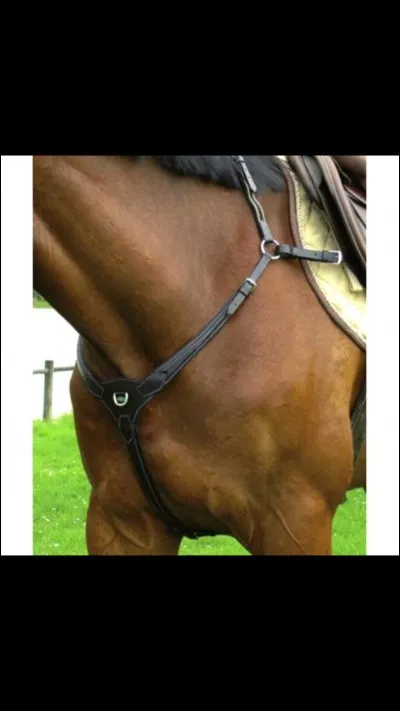 Comment s'appelle cet objet ?