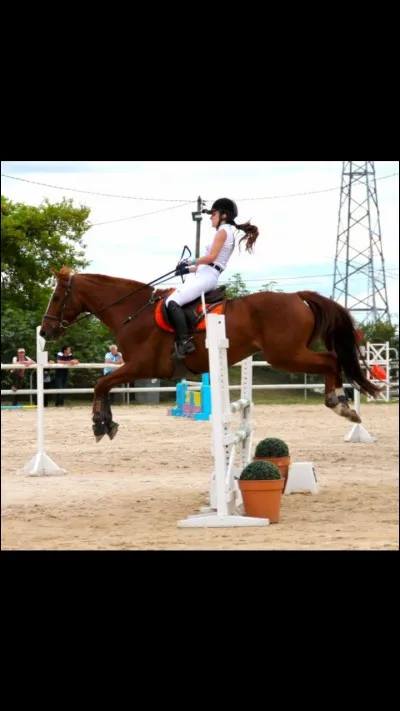 Comment s'appelle cette "chute" ?