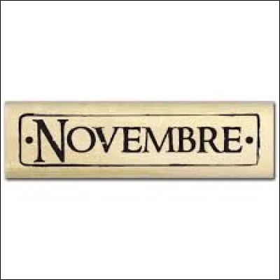 Quelle est la pierre de naissance du mois de novembre ?