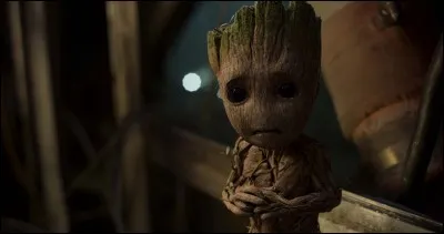 Quels sont les noms des membres des Gardiens de la Galaxie à rendre visite aux Avengers dans "Avengers : Infinity War" ?