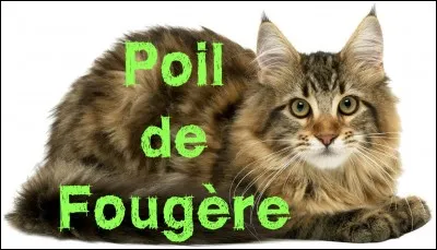 Poil de Fougère est :