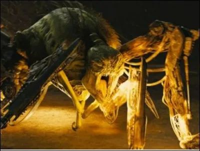 Comment se nomment les monstre du labyrinthe ?