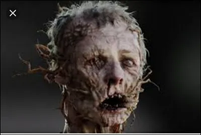 Comment s'appelle ceux qui sont contaminés ?