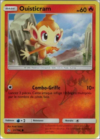 Ce starter singe fait partie de...